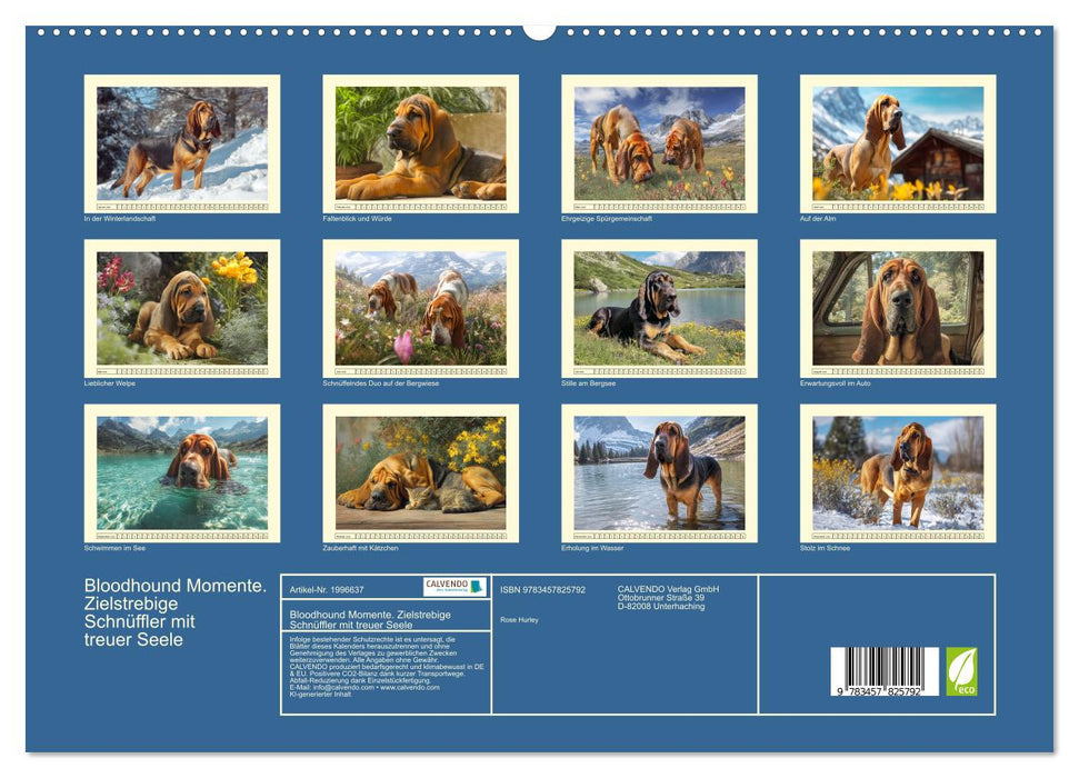 Bloodhound Momente. Zielstrebige Schnüffler mit treuer Seele (CALVENDO Premium Wandkalender 2026)
