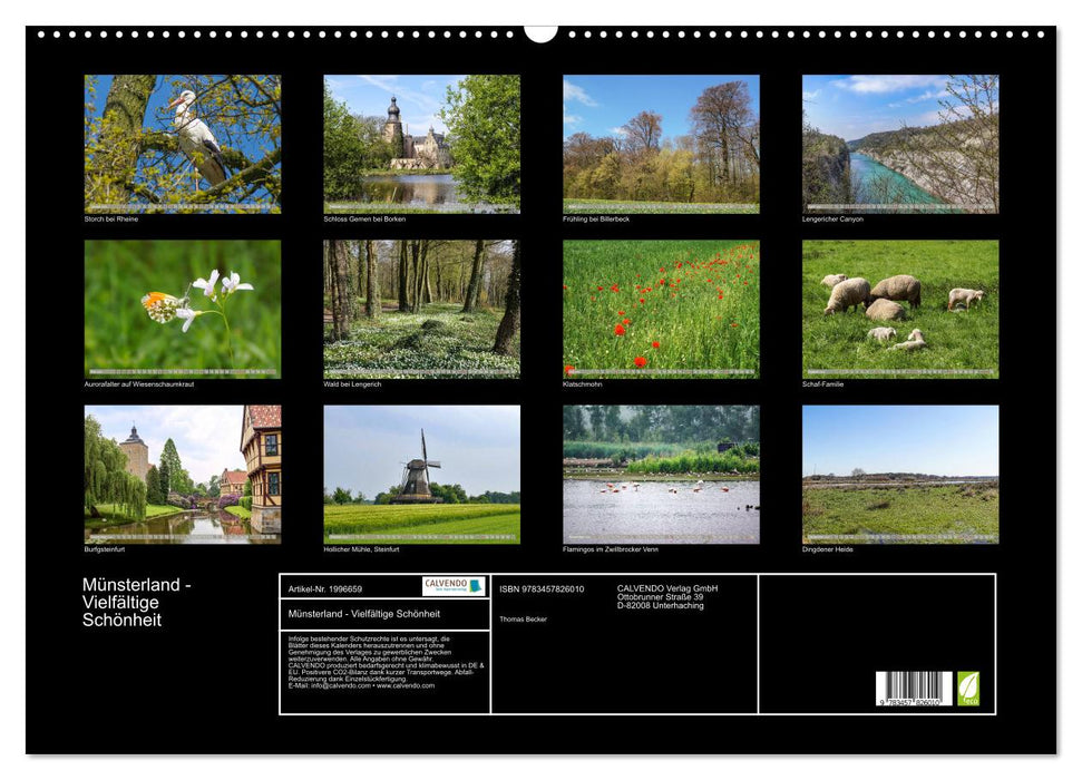 Münsterland - Vielfältige Schönheit (CALVENDO Wandkalender 2026)