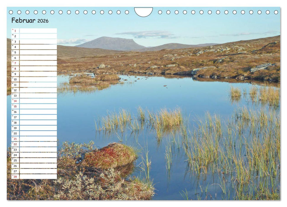 Einsame Natur - Terminkalender (CALVENDO Wandkalender 2026)
