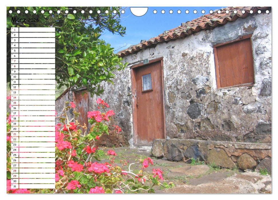 Einsame Natur - Terminkalender (CALVENDO Wandkalender 2026)