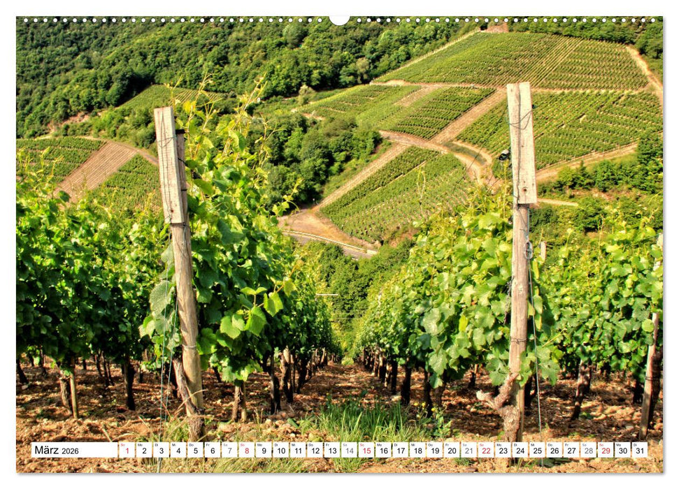 Sehenswertes Ahrtal - Von Altenahr bis Bad Neuenahr (CALVENDO Wandkalender 2026)