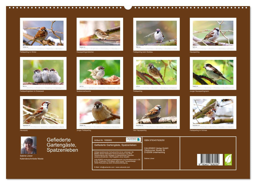 Gefiederte Gartengäste, Spatzenleben (CALVENDO Premium Wandkalender 2026)