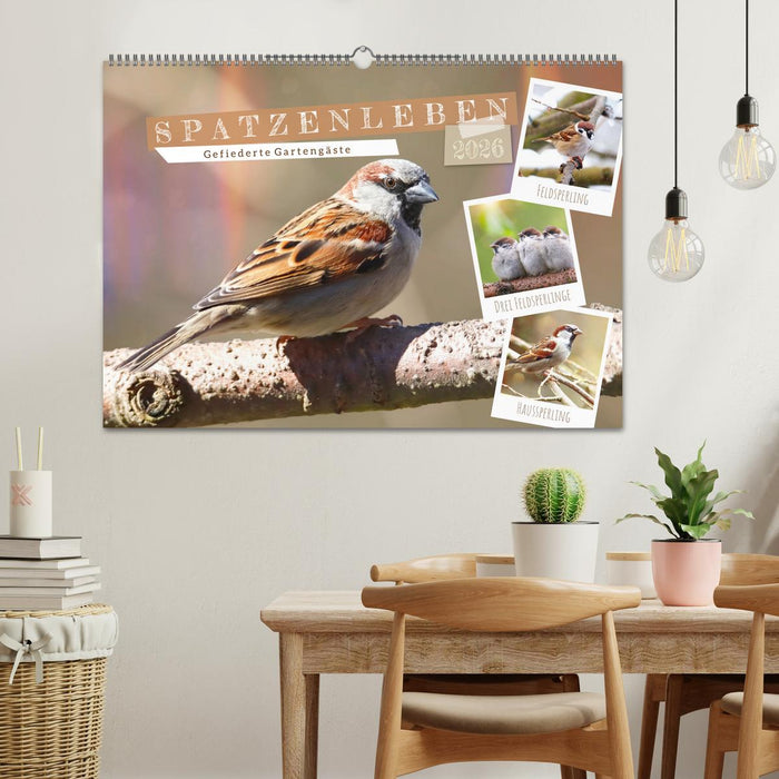 Gefiederte Gartengäste, Spatzenleben (CALVENDO Wandkalender 2026)