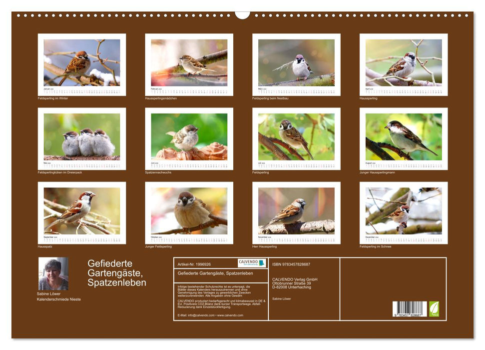 Gefiederte Gartengäste, Spatzenleben (CALVENDO Wandkalender 2026)