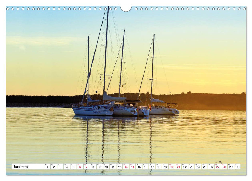 Leidenschaft Segeln (CALVENDO Wandkalender 2026)