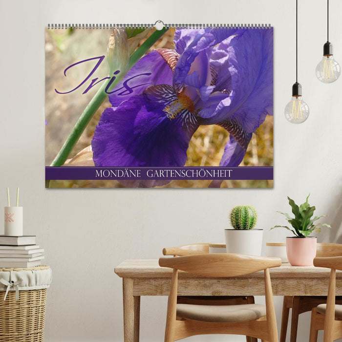 Iris - mondäne Gartenschönheit (CALVENDO Wandkalender 2026)