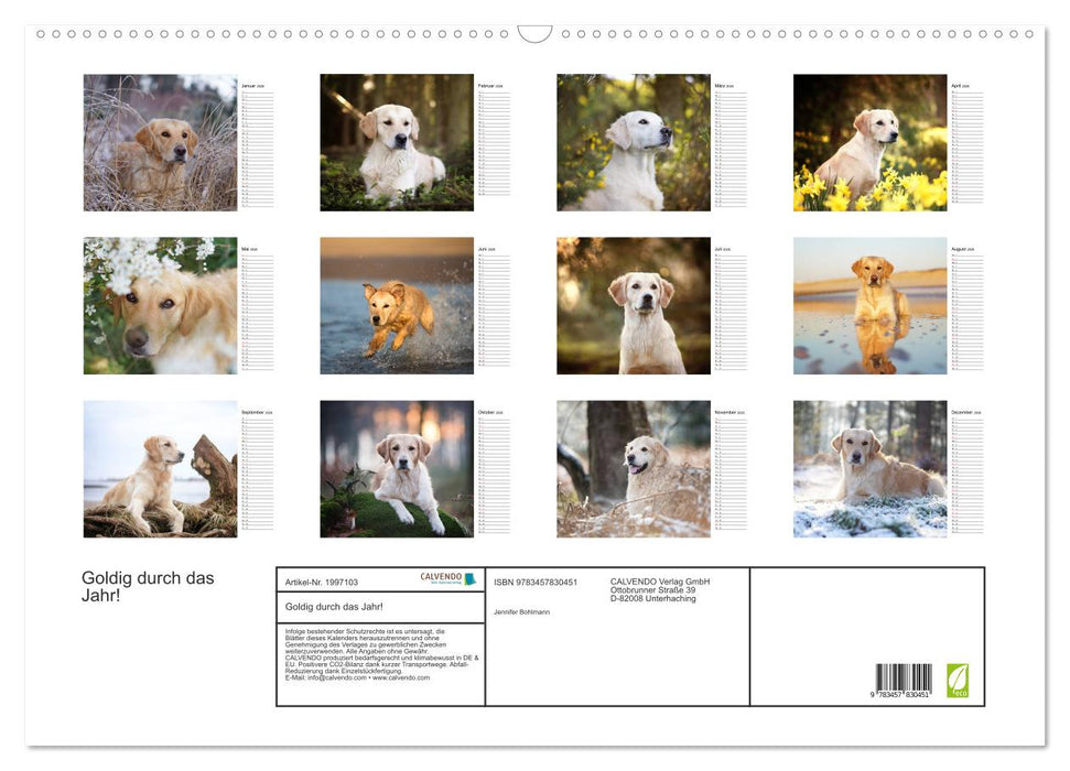 Goldig durch das Jahr! (CALVENDO Wandkalender 2026)