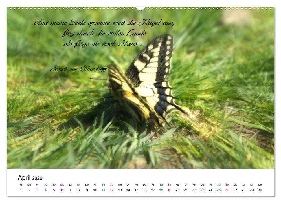 Zeit für Trauer - begleitet mit Zitaten (CALVENDO Wandkalender 2026)