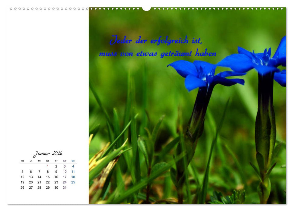 Innehalten in der Natur ... mit Weisheiten und Sprichworten der Indianer (CALVENDO Wandkalender 2026)