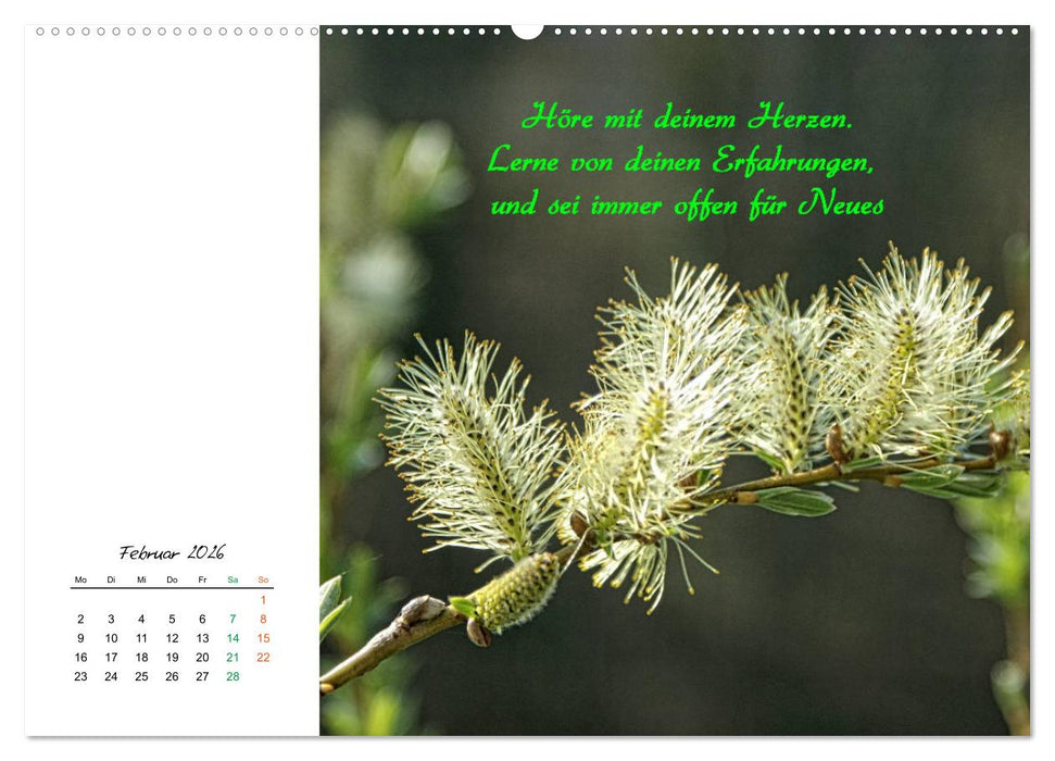 Innehalten in der Natur ... mit Weisheiten und Sprichworten der Indianer (CALVENDO Wandkalender 2026)