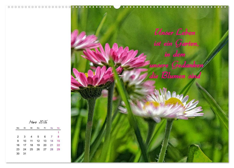 Innehalten in der Natur ... mit Weisheiten und Sprichworten der Indianer (CALVENDO Wandkalender 2026)