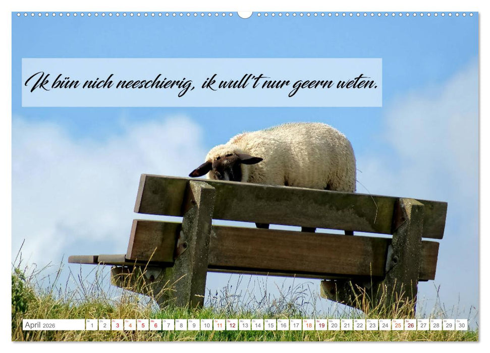Plattdüütsche Sprökje 2026 (CALVENDO Wandkalender 2026)