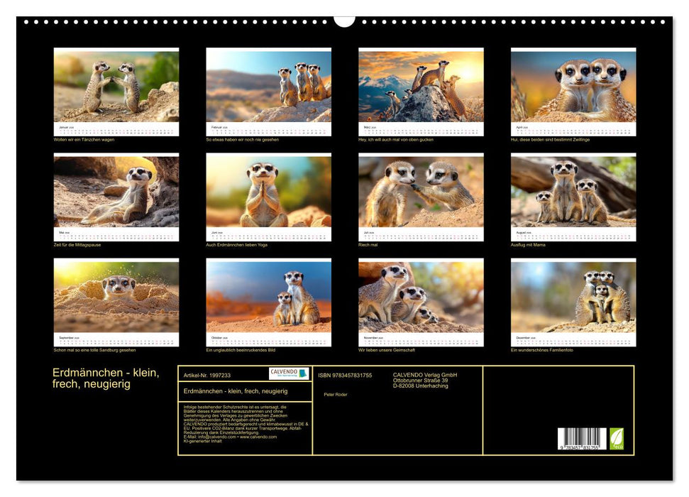 Erdmännchen - klein, frech, neugierig (CALVENDO Wandkalender 2026)