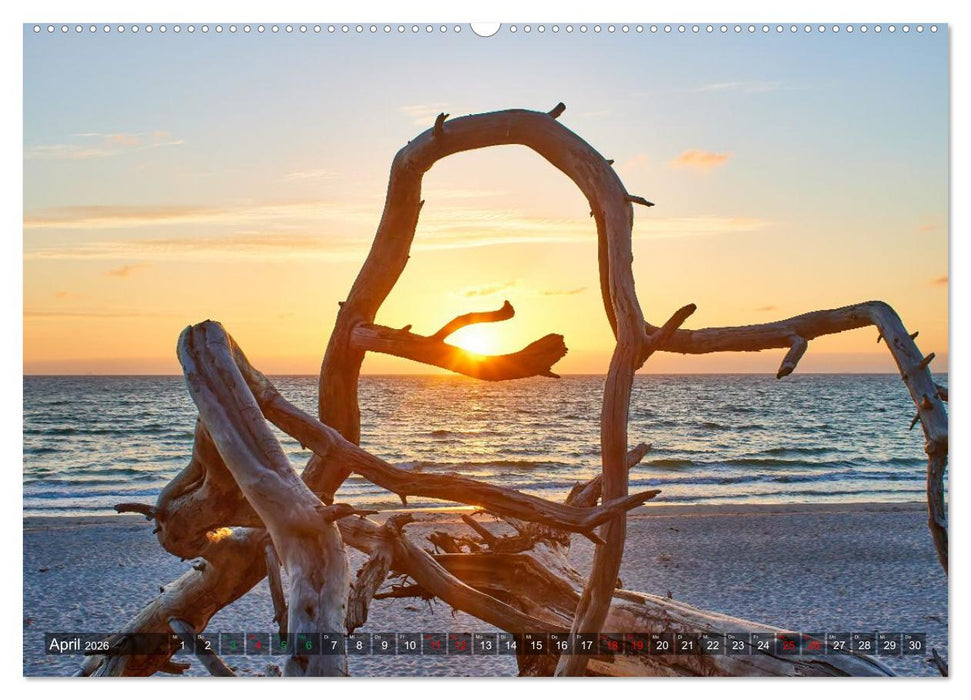 Sonnenuntergänge an Ostseeküste und Bodden (CALVENDO Wandkalender 2026)