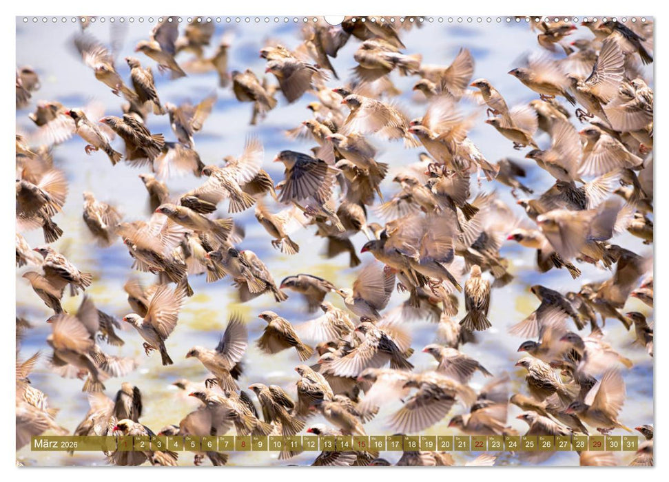 Wildes Kenia (CALVENDO Wandkalender 2026)