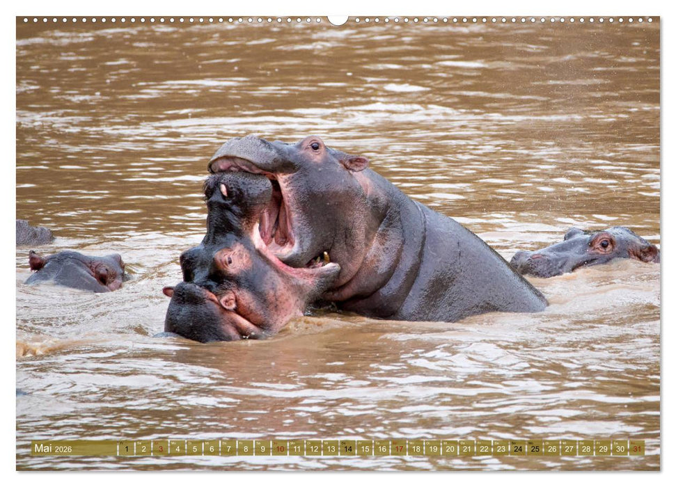 Wildes Kenia (CALVENDO Wandkalender 2026)