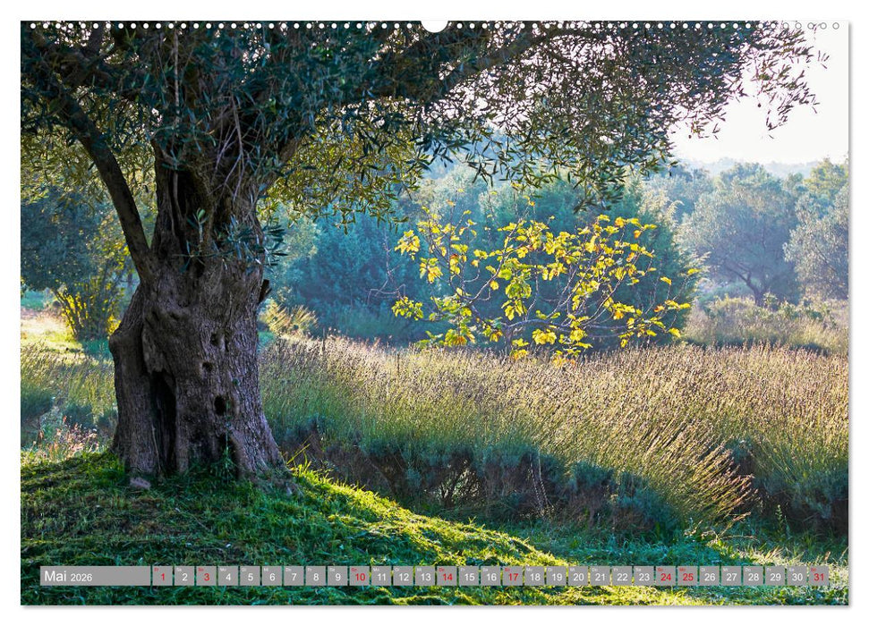 ISTRIEN (CALVENDO Wandkalender 2026)