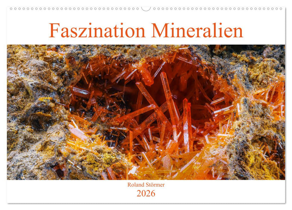 Faszination Mineralien (CALVENDO Wandkalender 2026)