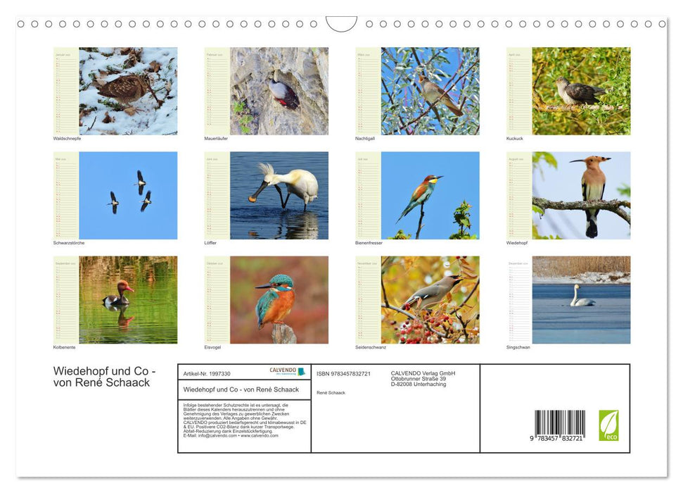 Wiedehopf und Co - von René Schaack (CALVENDO Wandkalender 2026)