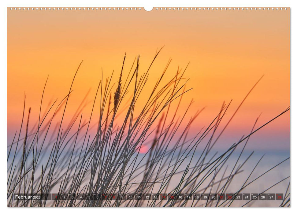 Sonnenuntergänge an Ostseeküste und Bodden (CALVENDO Premium Wandkalender 2026)