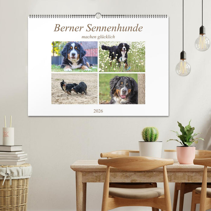 Berner Sennenhunde machen glücklich (CALVENDO Wandkalender 2026)