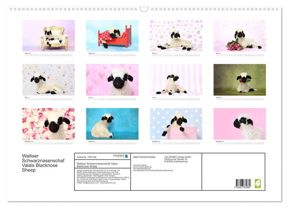 Walliser Schwarznasenschaf Valais Blacknose Sheep (CALVENDO Wandkalender 2026)