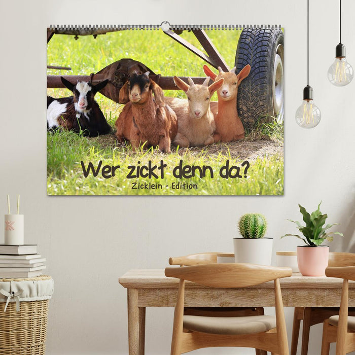Wer zickt denn da? - Zicklein-Edition (CALVENDO Wandkalender 2026)
