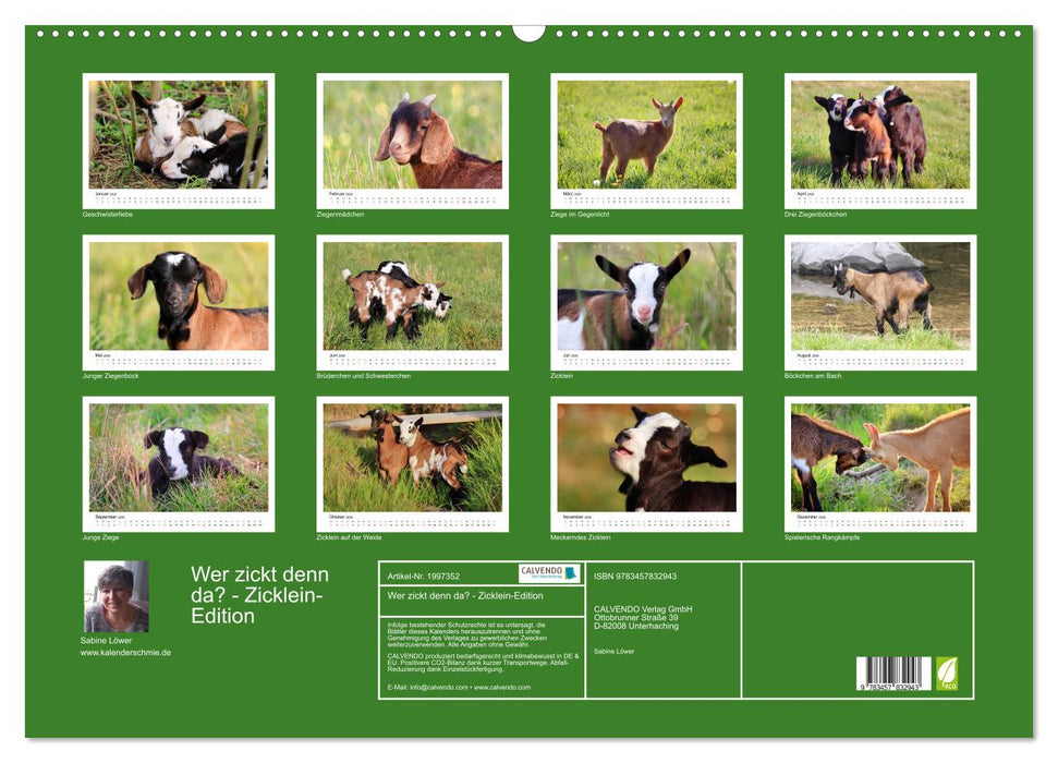 Wer zickt denn da? - Zicklein-Edition (CALVENDO Wandkalender 2026)
