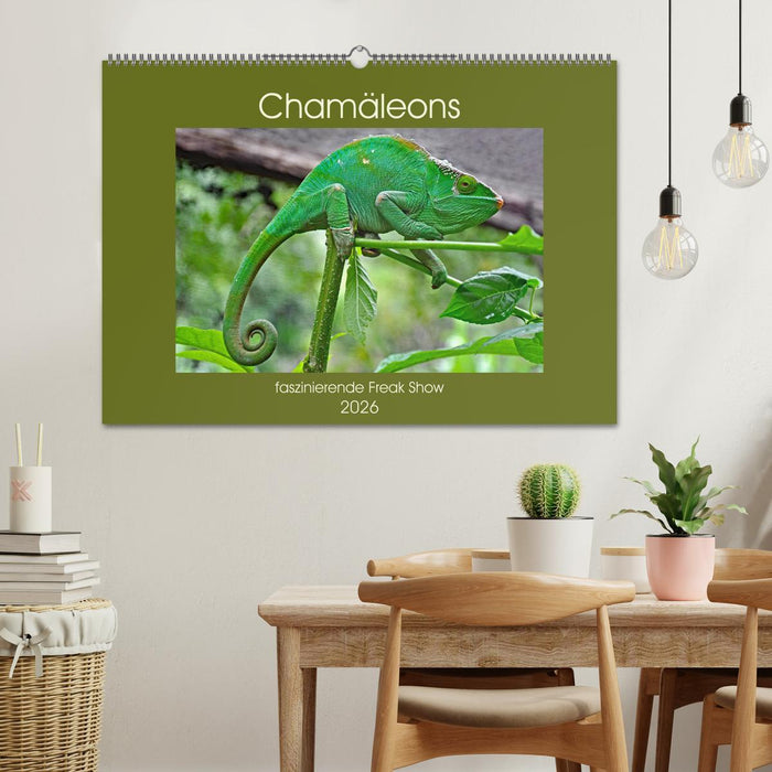 Chamäleons - faszinierende Freak Show (CALVENDO Wandkalender 2026)