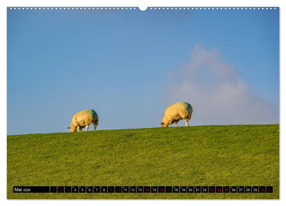 Provinz Groningen (CALVENDO Wandkalender 2026)