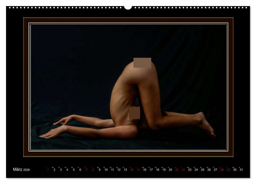 Hüllenlos in gewagten Posen (CALVENDO Wandkalender 2026)