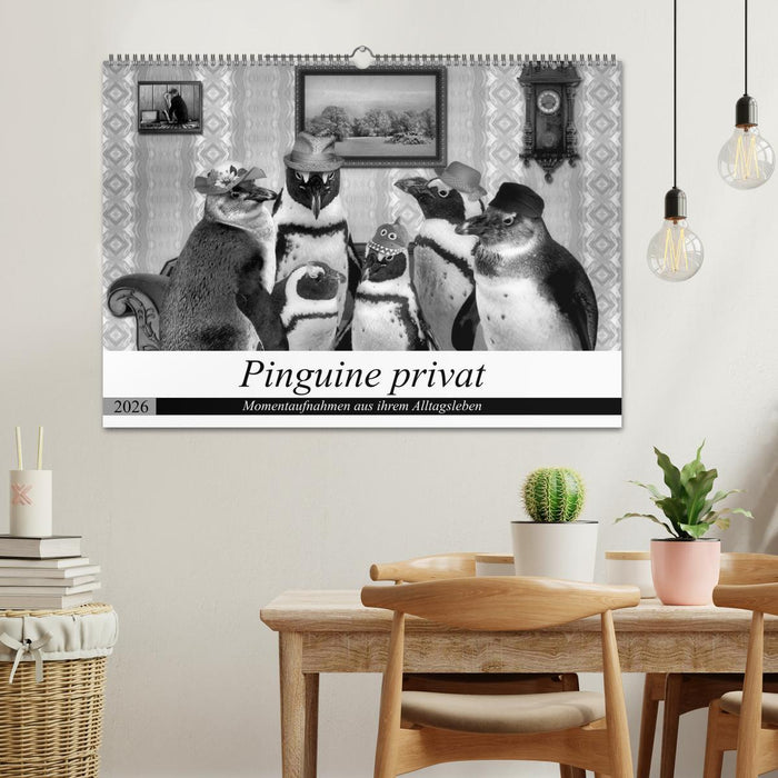 Pinguine privat (CALVENDO Wandkalender 2026)