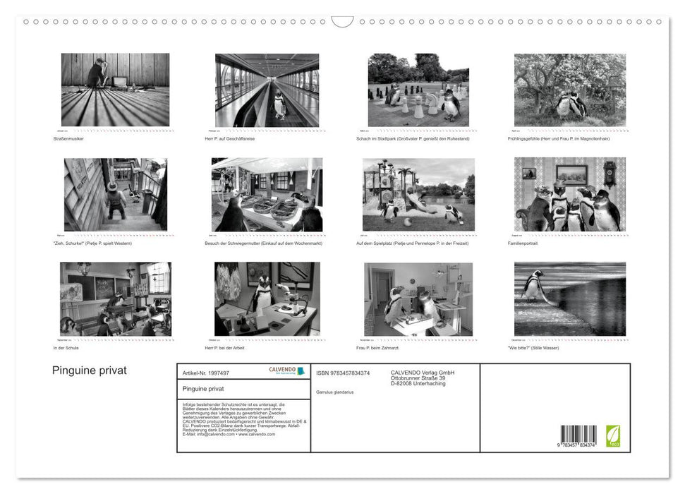 Pinguine privat (CALVENDO Wandkalender 2026)