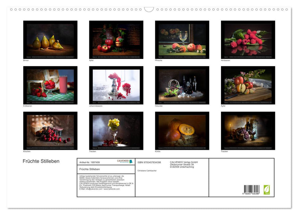 Früchte Stilleben (CALVENDO Wandkalender 2026)