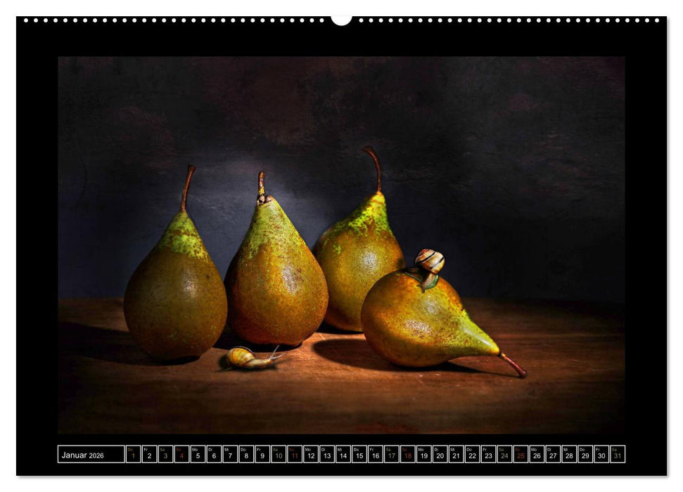 Früchte Stilleben (CALVENDO Wandkalender 2026)