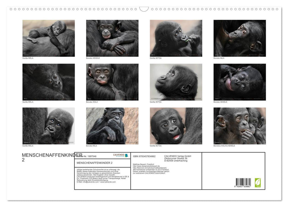 MENSCHENAFFENKINDER 2 (CALVENDO Wandkalender 2026)
