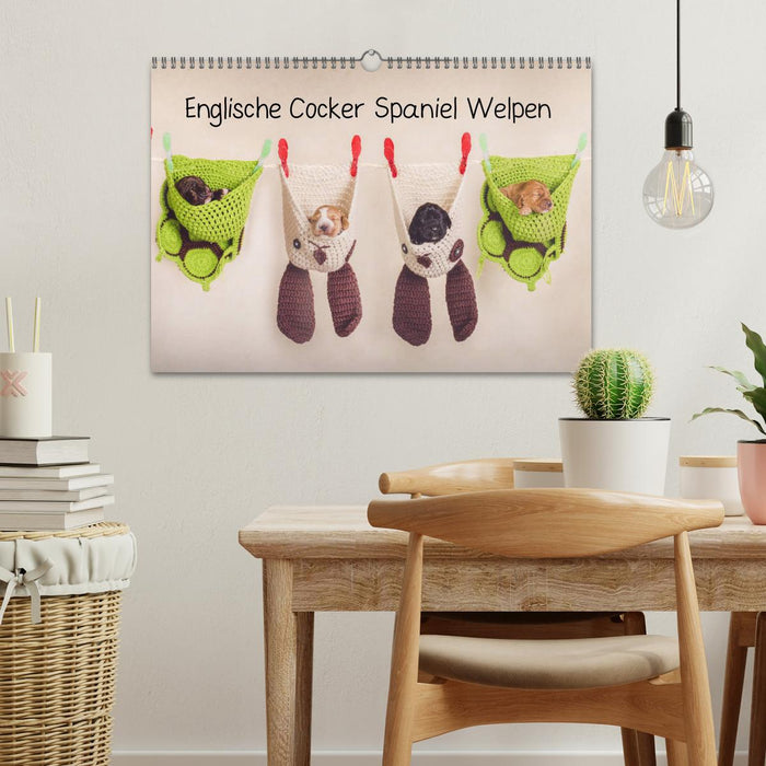 Englische Cocker Spaniel Welpen (CALVENDO Wandkalender 2026)