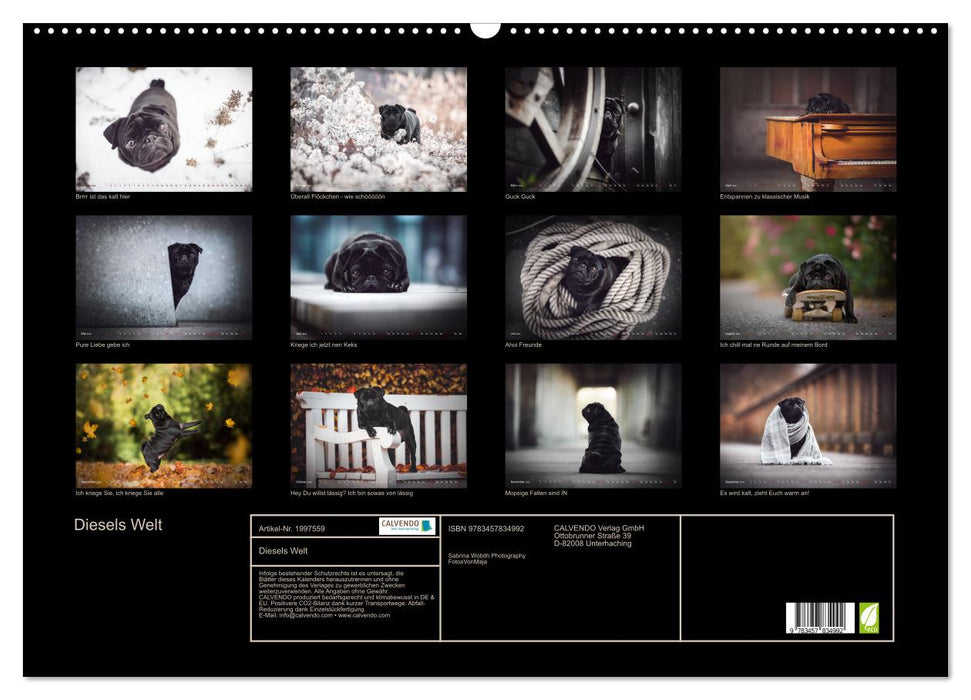 Diesels Welt (CALVENDO Wandkalender 2026)