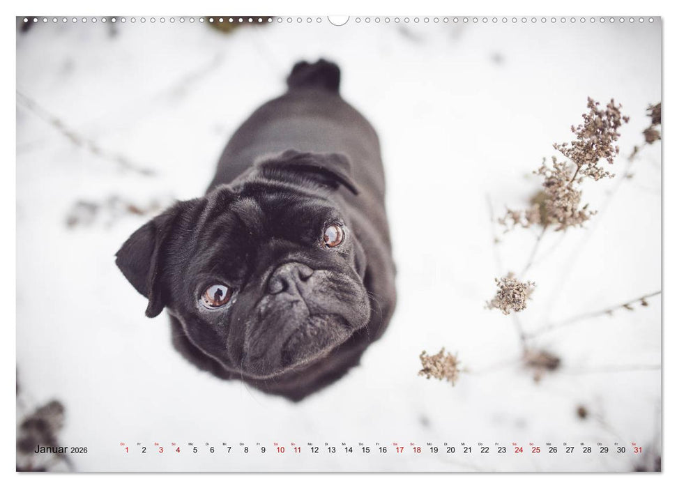 Diesels Welt (CALVENDO Wandkalender 2026)