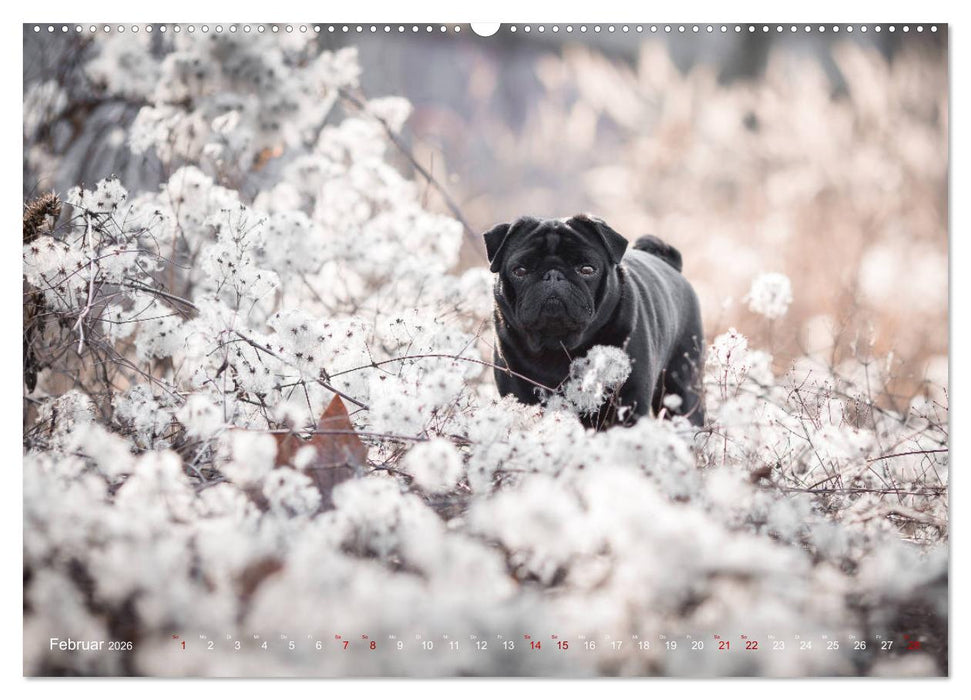 Diesels Welt (CALVENDO Wandkalender 2026)