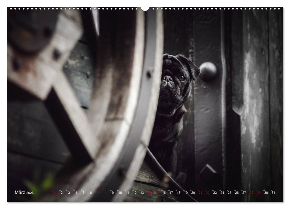 Diesels Welt (CALVENDO Wandkalender 2026)