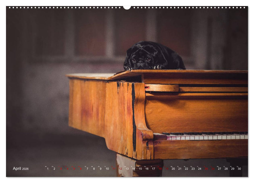 Diesels Welt (CALVENDO Wandkalender 2026)