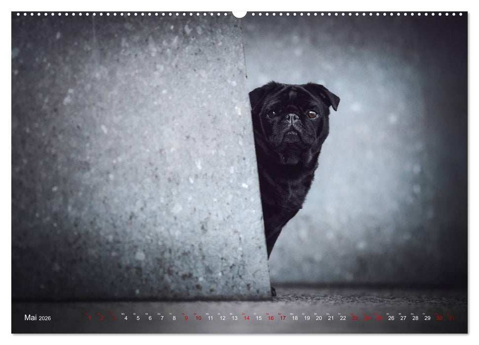 Diesels Welt (CALVENDO Wandkalender 2026)