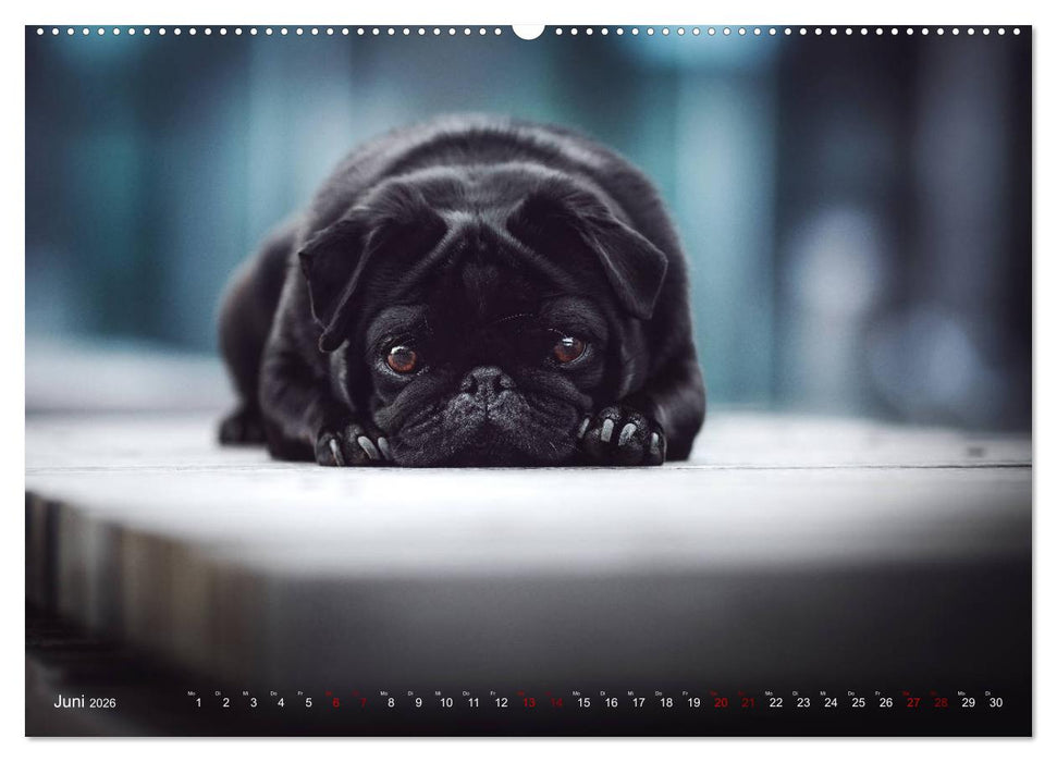 Diesels Welt (CALVENDO Wandkalender 2026)