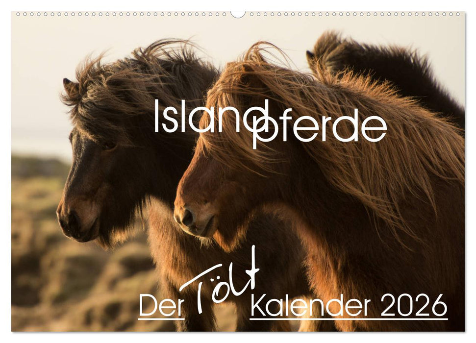Islandpferde - Der Tölt Kalender (CALVENDO Wandkalender 2026)