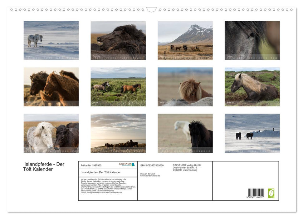 Islandpferde - Der Tölt Kalender (CALVENDO Wandkalender 2026)