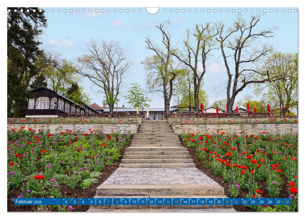 Brandenburg an der Havel - Stadt der Flussarme, Kanäle und Inseln (CALVENDO Wandkalender 2026)