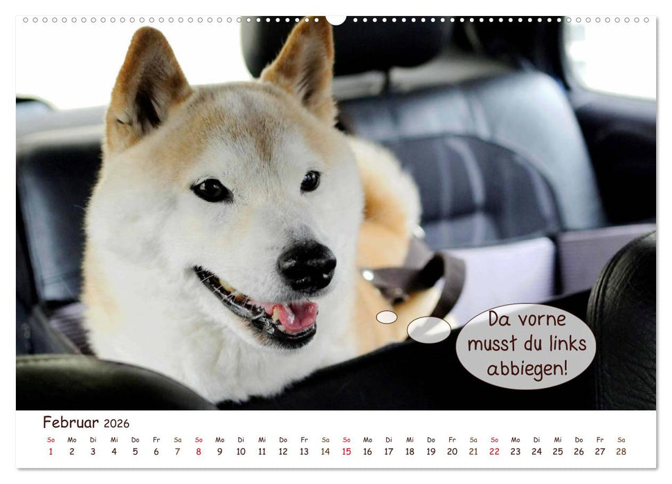 Frei Schnauze 2026. Was Hunde am liebsten sagen würden (CALVENDO Wandkalender 2026)