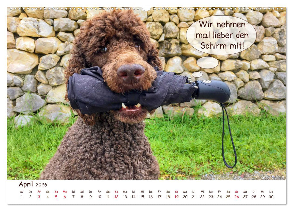 Frei Schnauze 2026. Was Hunde am liebsten sagen würden (CALVENDO Wandkalender 2026)