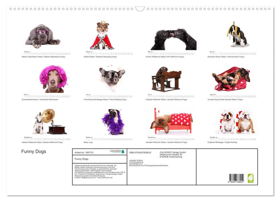 Funny Dogs (CALVENDO Wandkalender 2026)